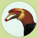 Quantum Conservation
                      Logo
